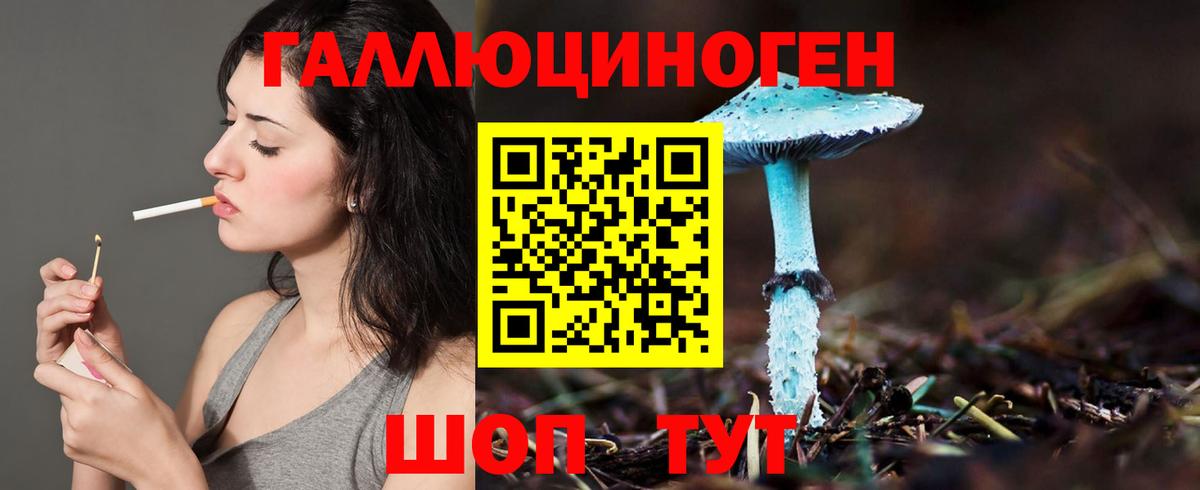 Еманжелинск  Псилоцибиновые грибы Psilocybine cubensis  Вход с VPN 